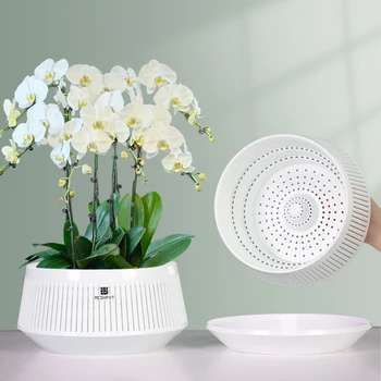 Mesh Orchid Plant Pot 1