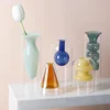 Decorative Double Wall Borosilicate Flower Vase Ins Hot Popular Cylinder Hydroponic Clear Murano Glass Vase 1