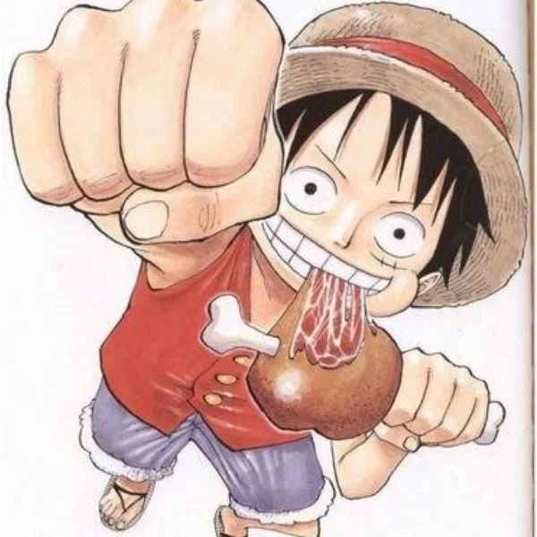Monkey·D·Luffy Figure Toys Store
