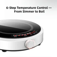 Электрическая индукционная плита 2200 Вт, настольная варочная панель со стеклянной керамической пластиной, регулируемая температура, безопасное приготовление пищи без открытого пламени — изображение 5