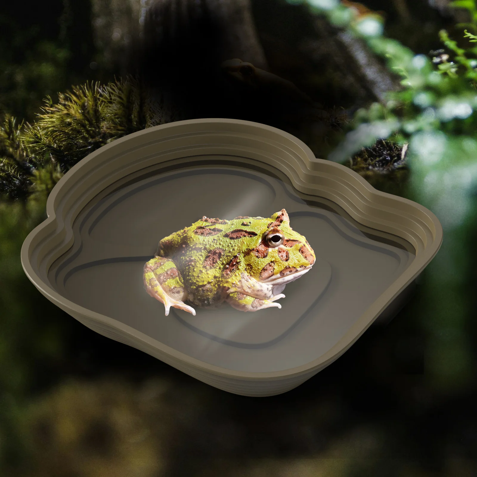 Turtle bathtub, frog bathtub, suitable for reptiles and amphibians, can also be used as food bowls and pools Turtle bathtub, frog bathtub, suitable for reptiles and amphibians, can also be used as food bowls and pools
