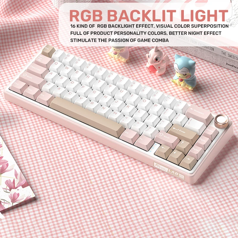 SR65 Mini Gaming Mechanical Keyboard 67Key 2.4G Wireless Bluetooth Gamer Keyboard TYPE-C Wired RGB Hotswap Non-contact keyboard