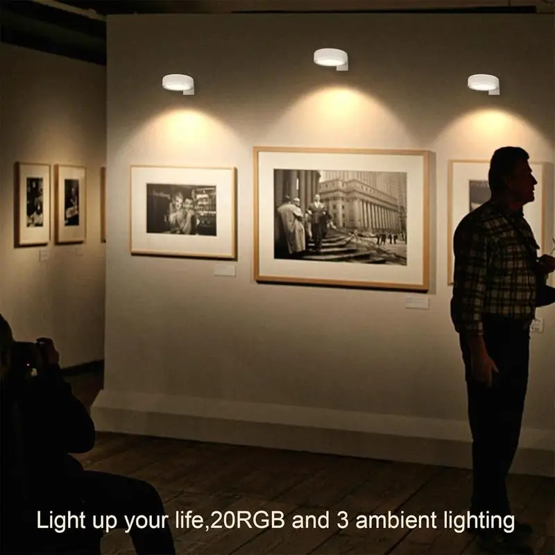 3Pcs Battery Operated Picture Light Magnetic Led Painting Light 24 Color Spotlight with Remote Control Dimmable Painting