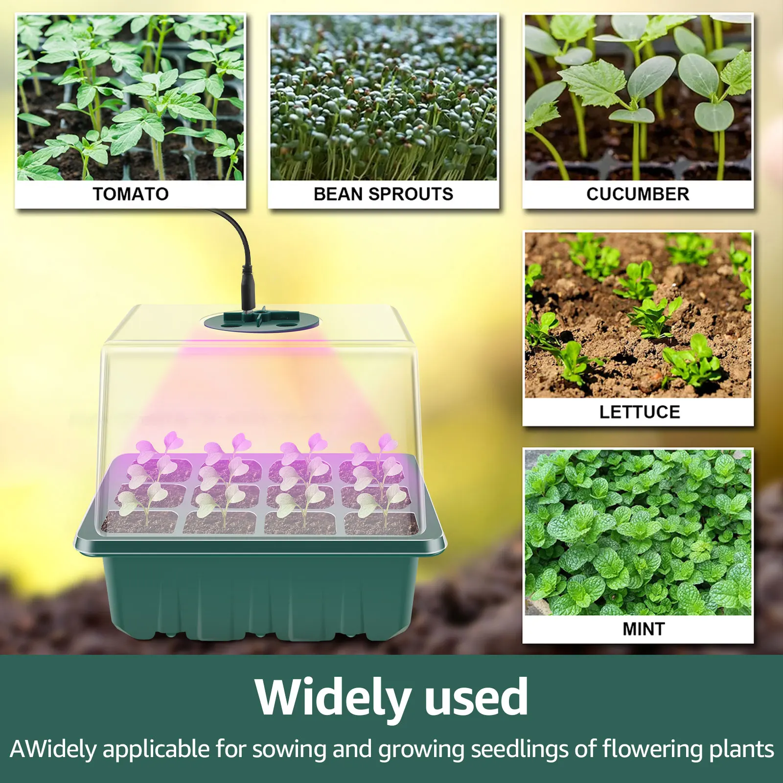 Seed Starter Tray with Grow Light Humidity Adjustable Seedling Trays Mini Propagator Triple Lighting Modes Gardening Accessories