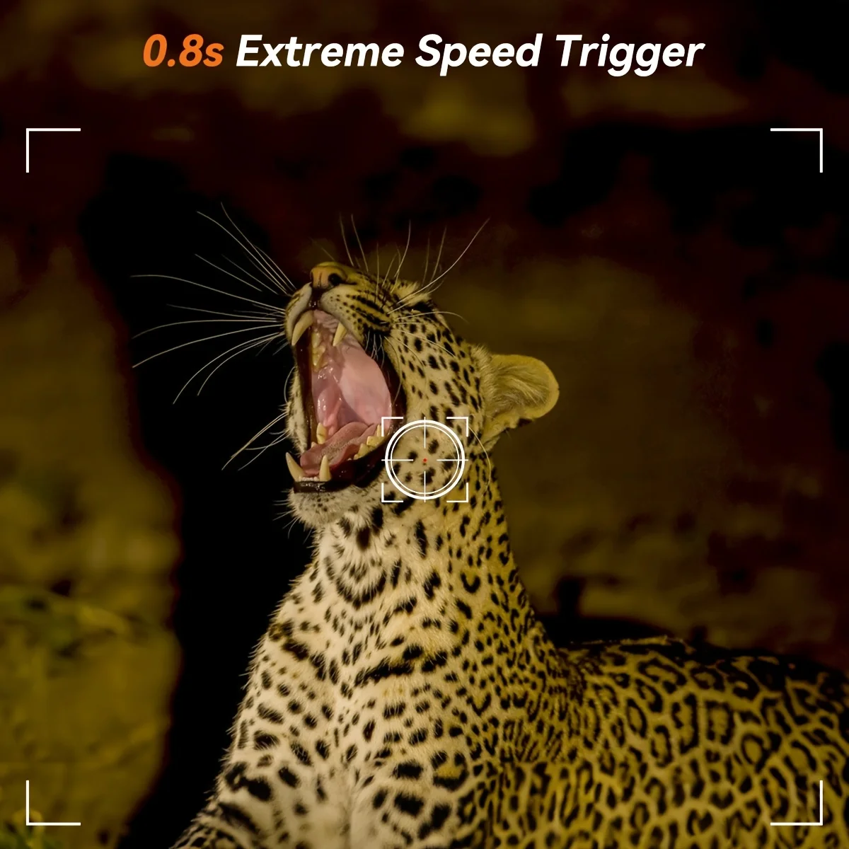 Trail Camera fissata a un albero nella foresta