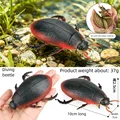 Diving bettle