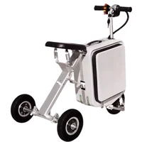 Bagages Scooters électriques petit Tricycle électrique 2 places Scooter de mobilité pliant léger voyage batterie amovible 300W 1