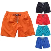 Top Quality Men's Magic Swimwear Color Change Embroidered Turtle Water Reactive Board Shorts Beach Surf Swim Mesh Trunks 1