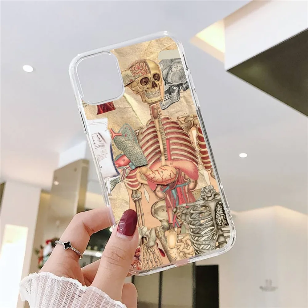 thumbnail image 1 of Funda de teléfono de Anatomía Humana médica, cubierta transparente para Iphone 15, 11, 13, 14 Pro Max, 7, 8 Plus, X, Xr, Xs Max, Se2020, 12mini, 1 of 5