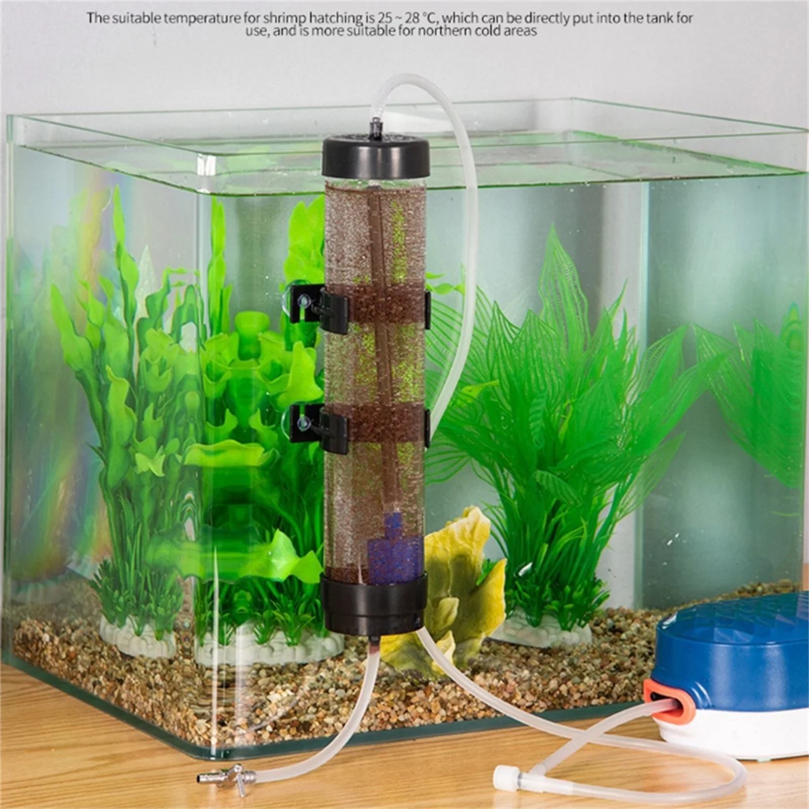 Fish Tank Brine Shrimp Hatcher Aquarium Artemia Eggs Incubator Tool