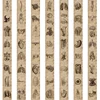 10/30/56pcs Anatomy and Physiology The Body Structure Stickers PVC Waterproof Toy Graffiti Skeleton Stickers For Luggage Decals 6