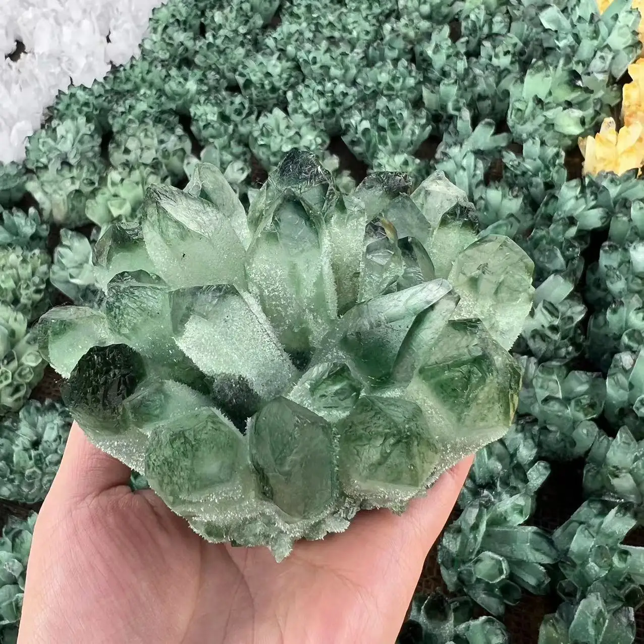 

300-1000 г натуральный зеленый призрак фантомный кварцевый кристалл кластер исцеляющий образец