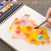 6 Colors Metallic Watercolor Glitter Solid Pigment,Professional Flash Golden Slivery Starry Iridescent Paints for Adults,Artists 2