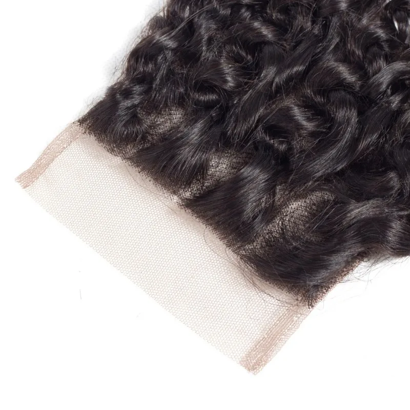 Kinky Curly 4x4 Lace Closure Human Hair Pre-Plucked Natural Color Brazilian Virgin Hair Transparent Lace Closure For Women