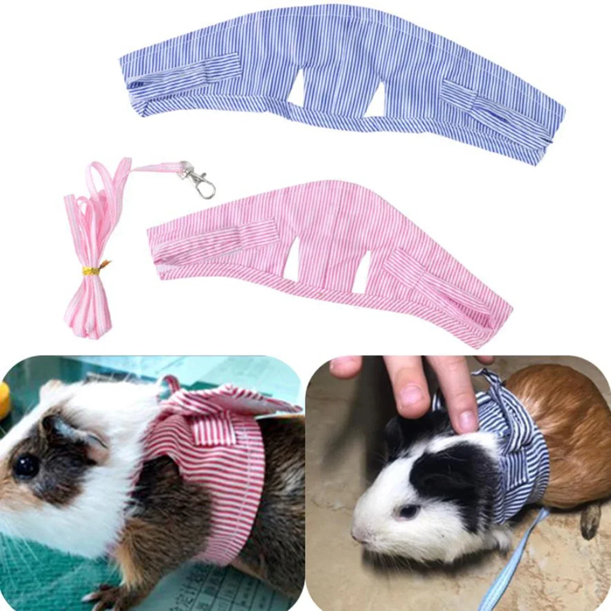 Guinea Pig Harness Set 1