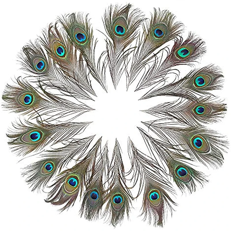 Peacock Feather Decoration, Peacock Tail Feather Craft