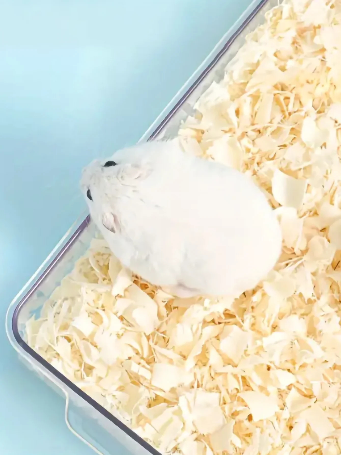 1pc-Warm wood shavings for hamsters, wood shavings for bird reproduction, bedding, sawdust