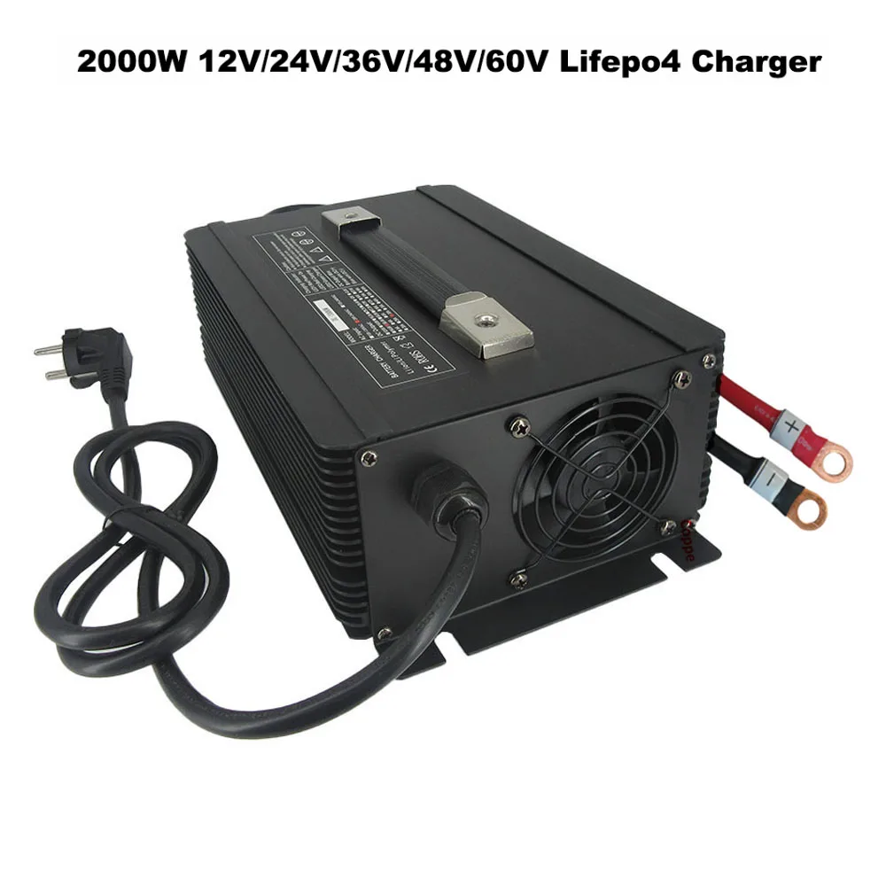 2000w 24v 50a 36v 40a 48v 30a 60v 25a 12v 100a lifepo4 smart