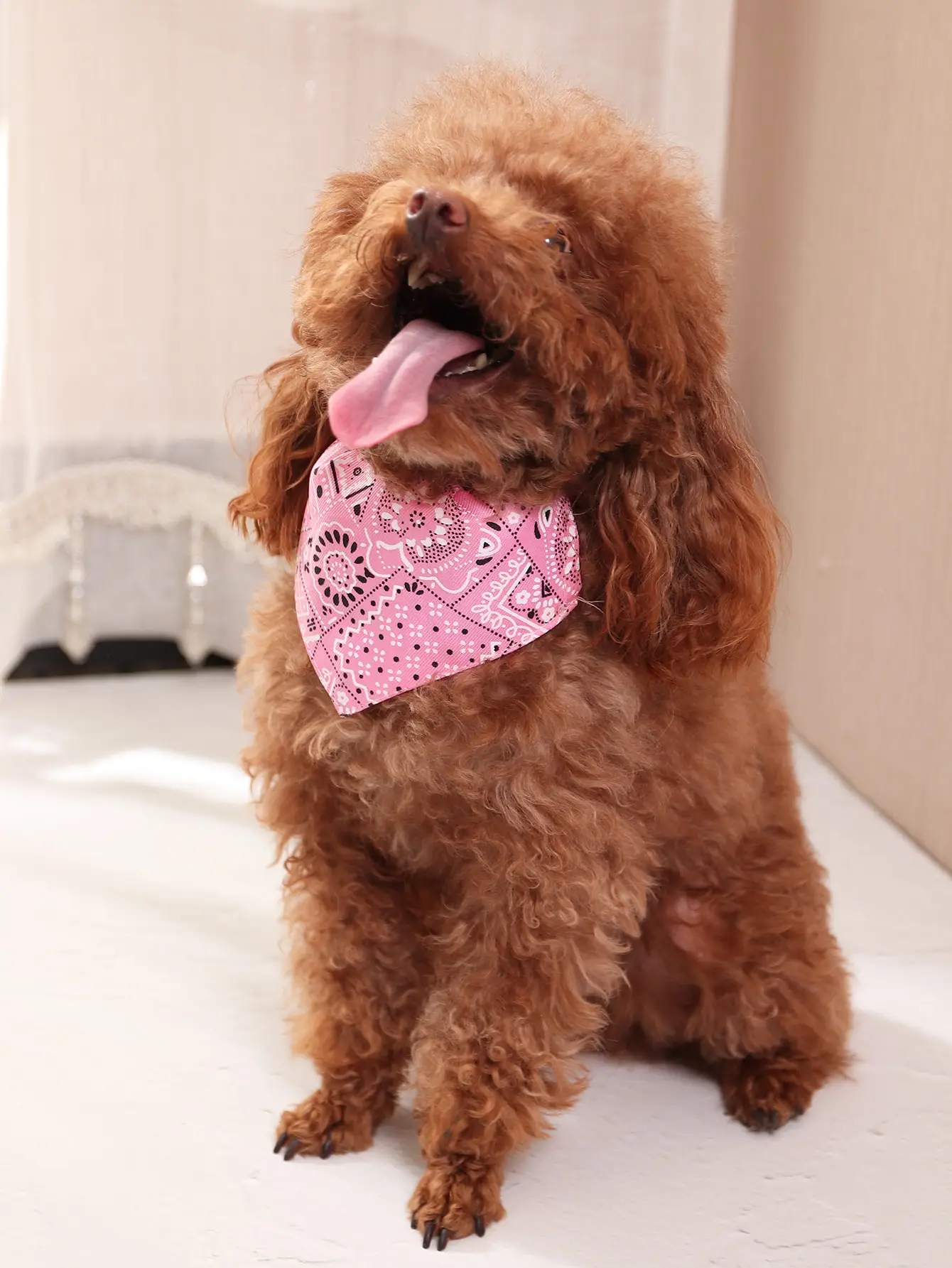 Pet Bandana Adjustable Triangle Shape Buckle Pet Dog Neck Scarf Puppy Cat Dog Collar Bibs 1pc