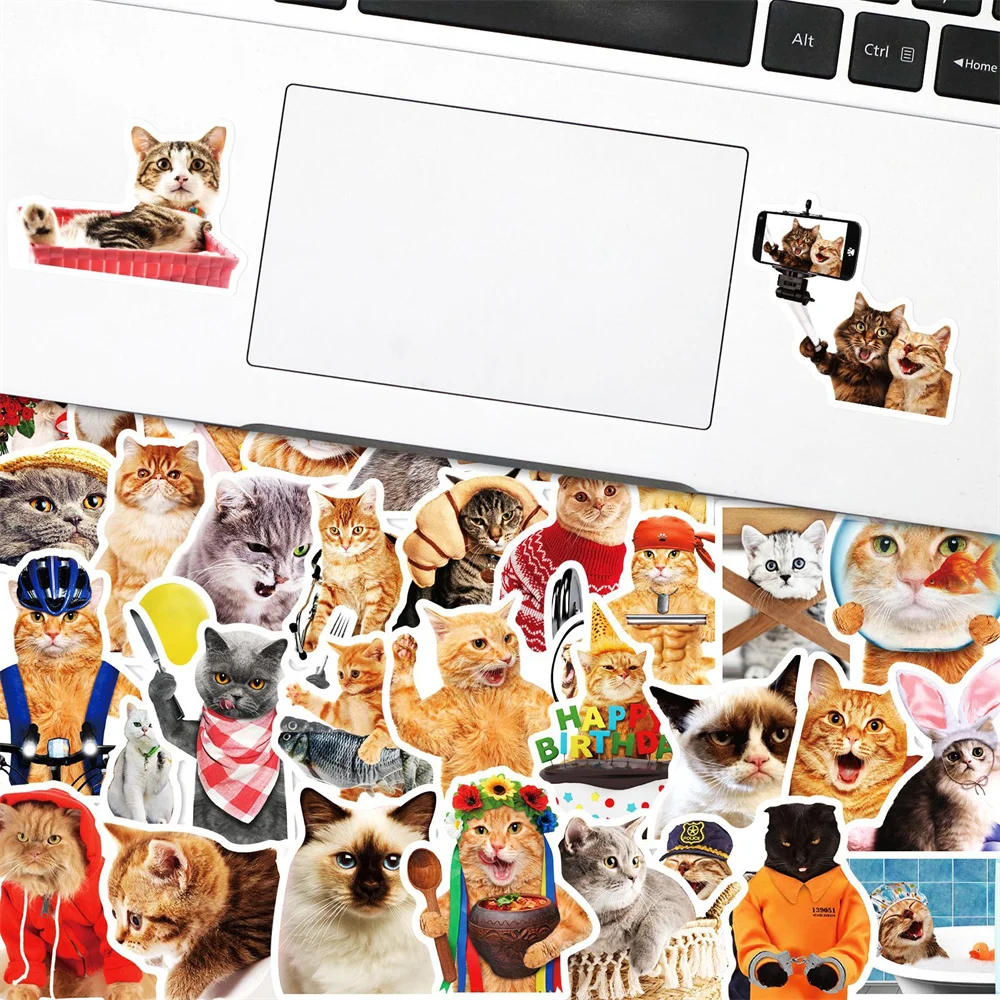 

Cute Realistic Cat Stickers for Notebooks, Vintage Scrapbook, Kitty Sticker, Scrapbooking Material, Craft Supplies, 50Pcs