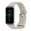 Gray Silver