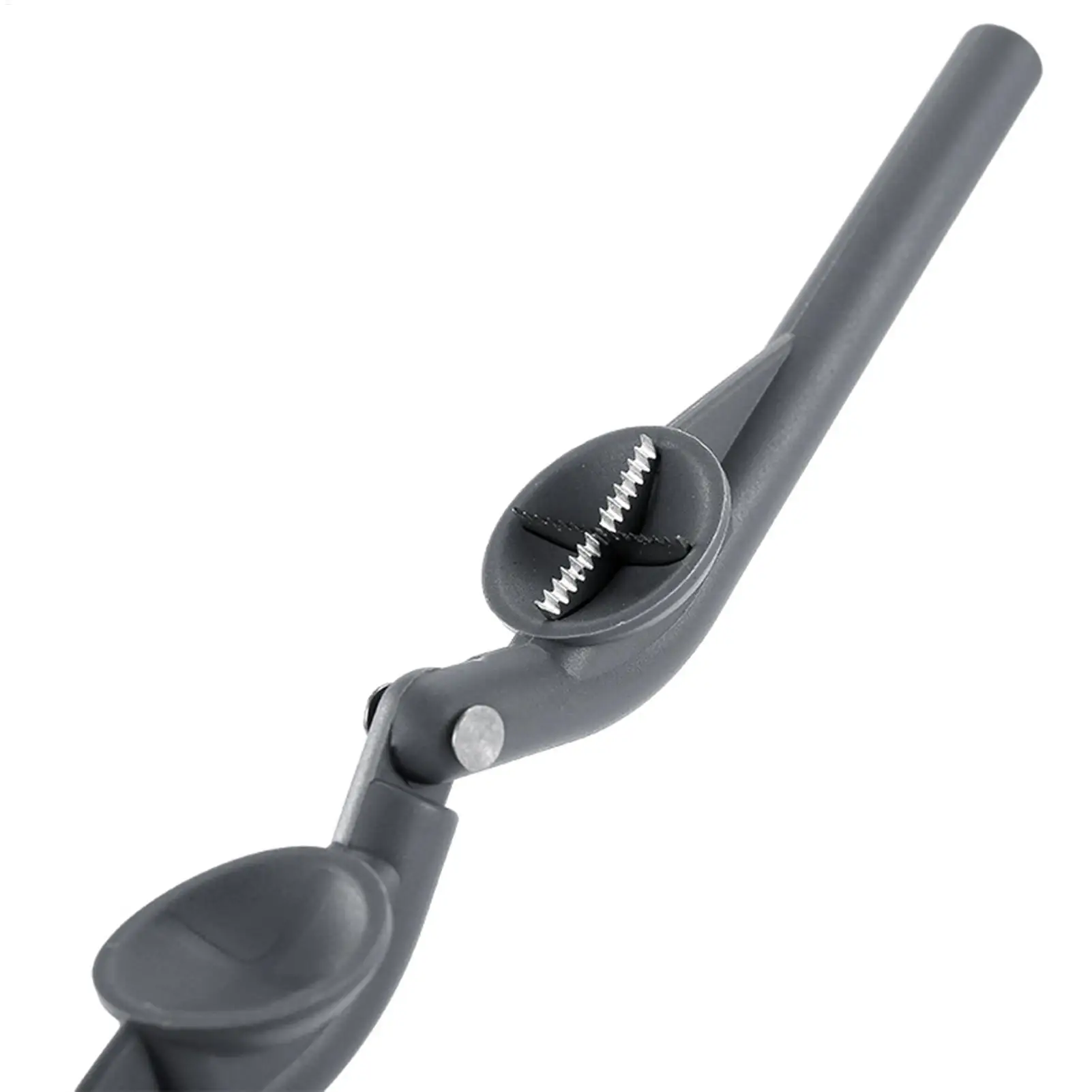 Chestnut Clip Nutcracker Opener Nuts Peeler Shelling Walnut Cracker Sheller Stainless Steel Accessories For Pliers Gadgets Tools 9 küchexyz.de Se581d9753475415c92be419ad7302ec8j küchexyz.de Best Price | Fast Delivery |Quality Product Chestnut Clip Nutcracker Opener Nuts Peeler Shelling Walnut Cracker Sheller Stainless Steel Accessories For Pliers Gadgets Tools