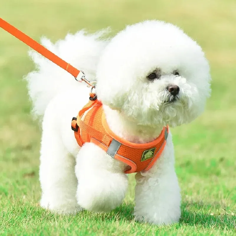 Reflective No-Pull Pet Harness and Leash Set with Breathable Mesh