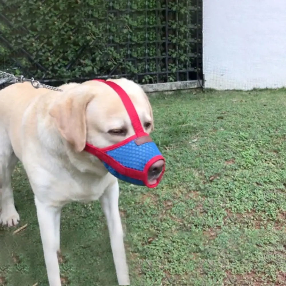 1 Pz Portatile Cucciolo Copertura Del Viso Pratico Morbido Traspirante Regolabile Bocca Di Cane Copertura Resistente Al Morso Panno Di Rete Pet Bark S