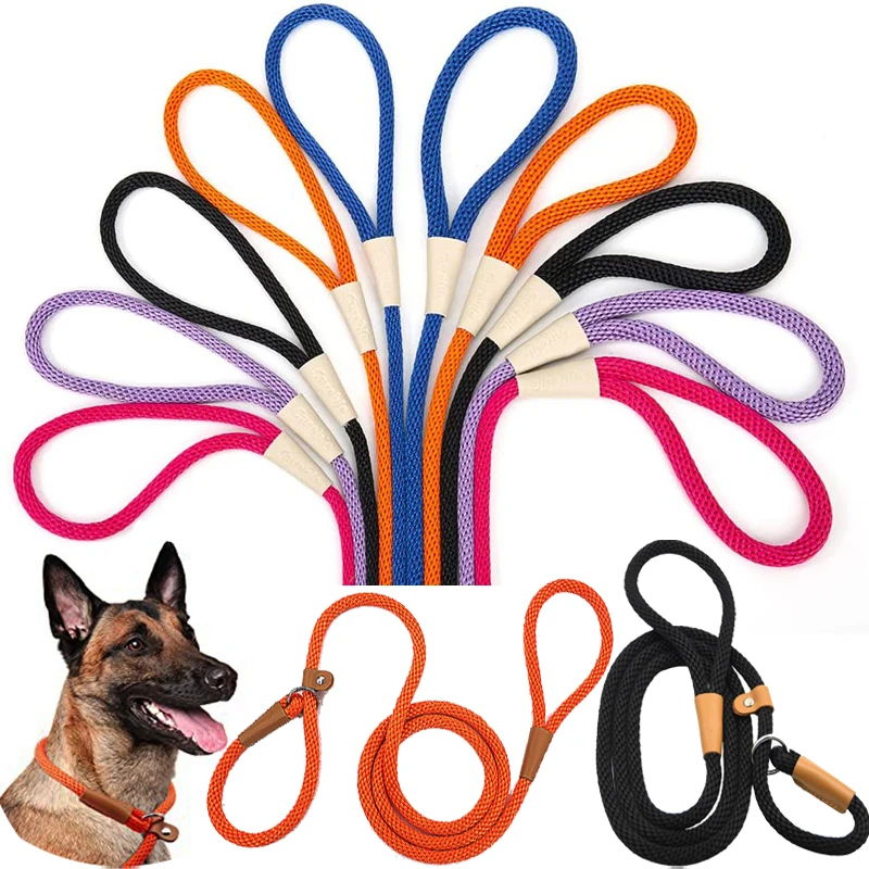 Dog Collar Durable Nylon Slip Rope Dog Leash Collar 2 In 1 Adjustable Loop Collar Comfortable Meidum Large Pet Harness Leashes