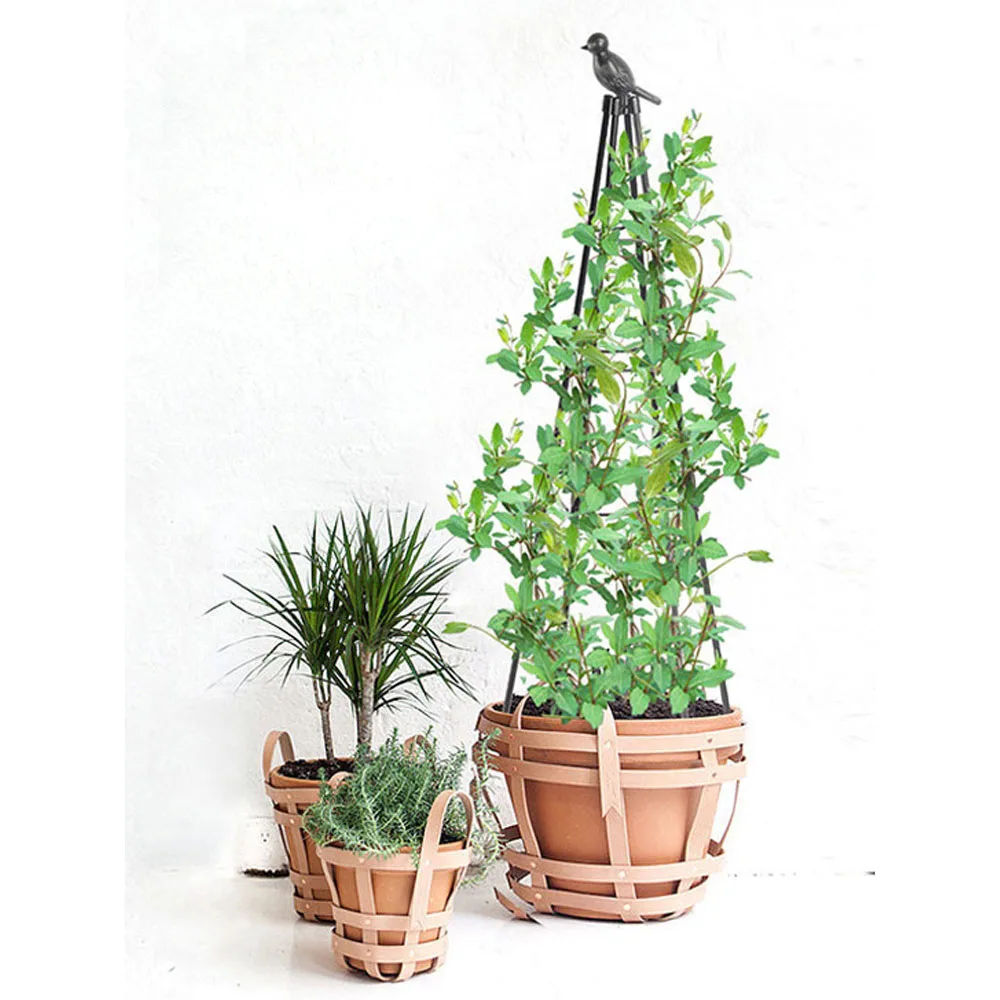 Traliccio telescopico da giardino – Obelisco, traliccio per piante da esterni, supporto per piante rampicanti, piante in metallo per rampicanti, viti, ortaggi, fiori