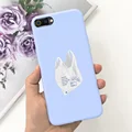 Case-c31