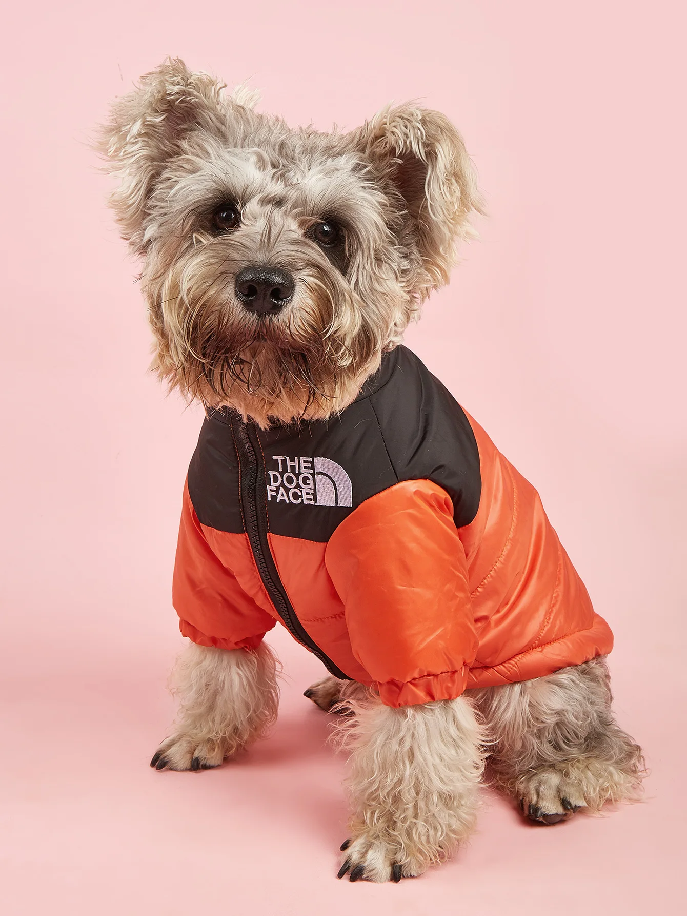 Jaqueta de Frio para Cachorros Acolchoada - The Dog Face - Laranja