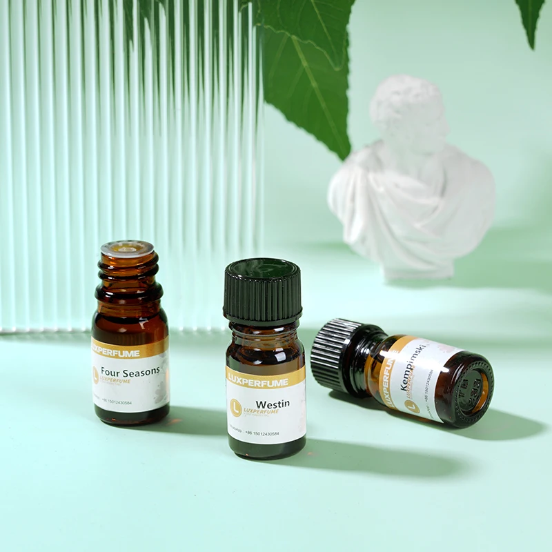 Air Purifier 5ML Essential Oil 10 Bottle Set Sample Suitable for Aroma Diffuser Humidifier Car Freshener Without Water Natural 4