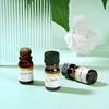 Air Purifier 5ML Essential Oil 10 Bottle Set Sample Suitable for Aroma Diffuser Humidifier Car Freshener Without Water Natural 4
