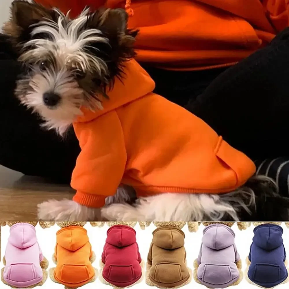 

Puppy Pet Hooded Sweatshirt Autumn and Winter Two-legged Pocket Cat and Dog Cloths Warm and Comfortable Cotton Stretch Clothing