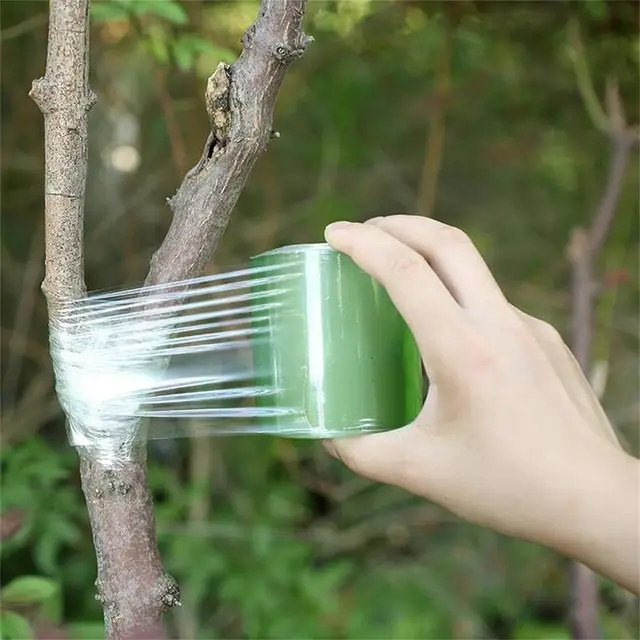 PE Grafting Tape Film Stretchable Self-adhesive Garden Tree Roll Tape Plants Seedlings Vine Tomato Grafting Accessories 2