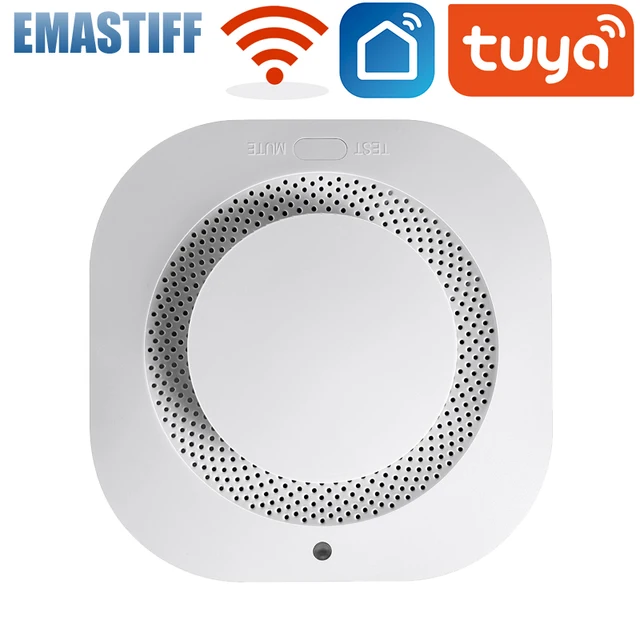 1PCS WIFI Smoke