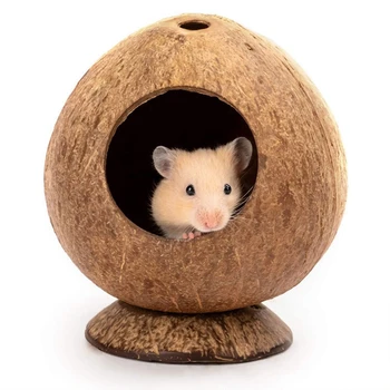 Coconut Hamster Hideout House 1