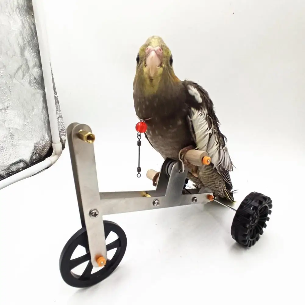 

Parrot Training Bicycle Toy Bird Cockatiel Conure Parakeet Mini Metal 4-Wheels Bike Foot Exercising Educational Toy Pet Supplies