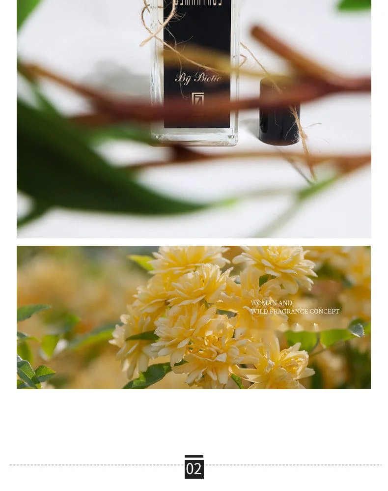 2024 ny parfym Osmanthus parfym för män och kvinnor Beständig doft för studenter Liten fräsch parfym blommig ton_voghion.com