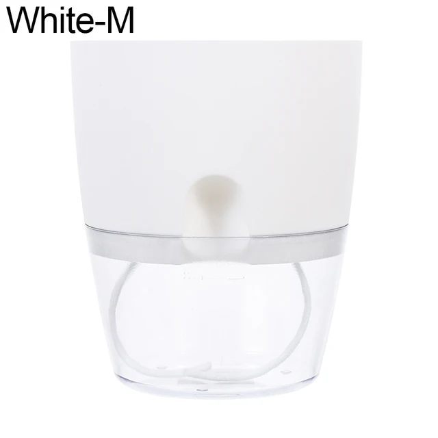 White M