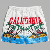 Holiday Style 3d Printed Shorts For Men's Outdoor Sports Surfing Board Shorts Fashion Leisure Trend Quick Drying Short Pants 2