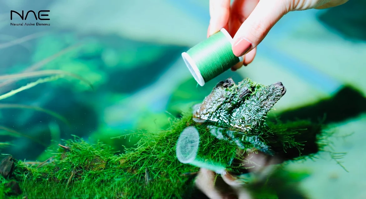 ADA NAE Moss Thread Natural Degradation Cotton Grass Jar Binding Sinking Wood Aquarium Landscape