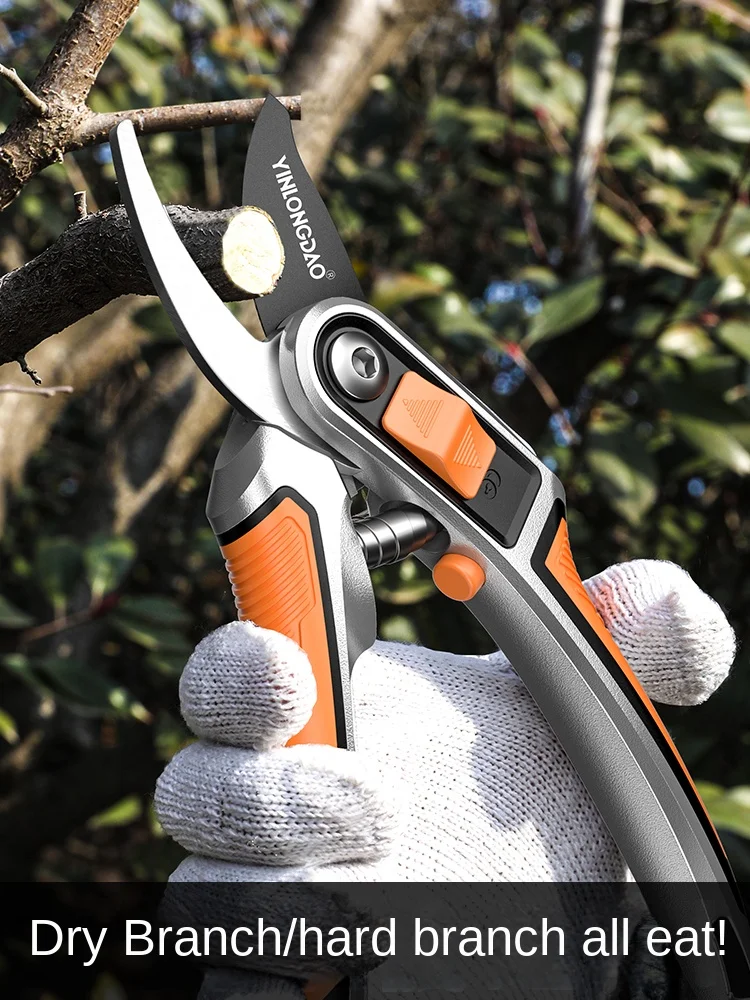 Wyj Garden Fruit Tree Pruning Shears Branch Special Scissors Pruning Branch Gardening Flower Scissors