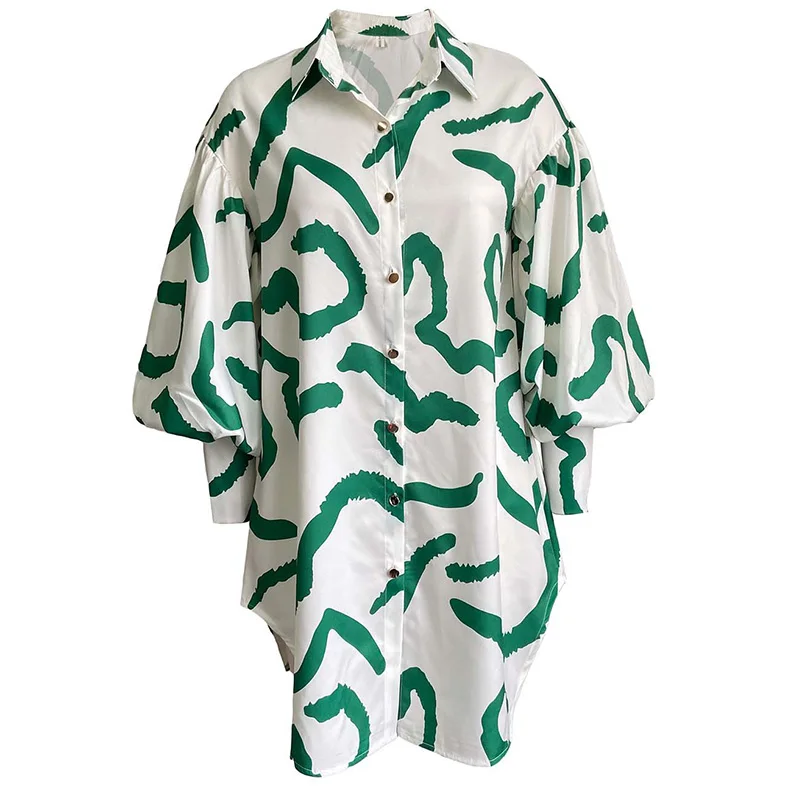 Streetwear Turn-down Collar Printing A-line Skirt Spring Autumn Loose Waist Puff Long Sleeve Plus Size Zipper Shirt Dress Women