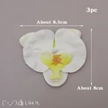 3PC orchid