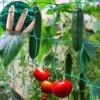 45/36/24 Strands of 10x10cm Cell Plant Climbing Net Garden plant Shelves Net Vegetable Flower Net Garden Weaving Grow Frame 2