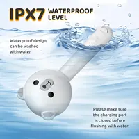 Steam Cat Brush Pro Waterproof Rechargeable Self-Cleaning Pet Grooming Hair Care Tools with Spray, Floaters Hair Removal for Dog 6