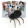 Crawling 2.4g RC Child Gift Remote Control Scary Creepy Soft Plush Infrared RC Tarantula Toy 3