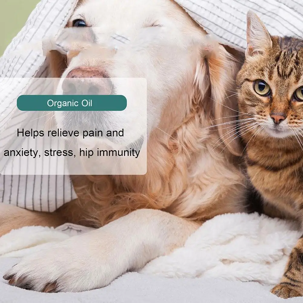 Pet Seed Oil Relieve Pain Inflammation Enhance Immunity Maximum Potency Organically Grown Seed Oil for Cats Dogs 30ml X4E9